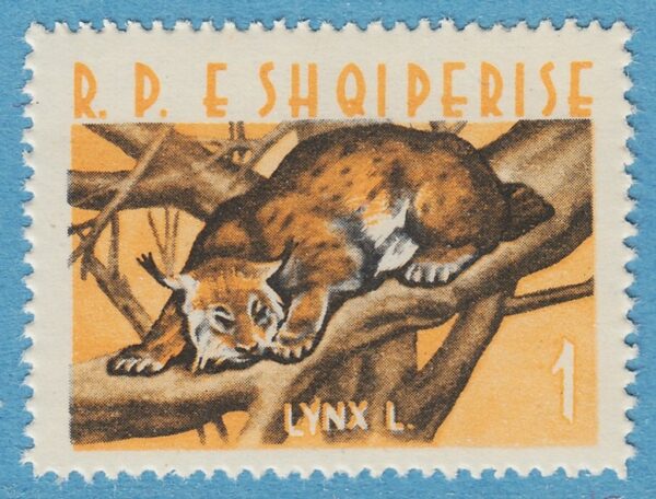 ALBANIEN 1962 M700** lodjur - enda kattdjur i serien