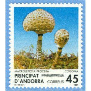 ANDORRA (SP) 1991 M223** svampar 1 kpl