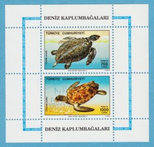 TURKIET 1989 M2871-2 BL28** sköldpaddor 2 kpl