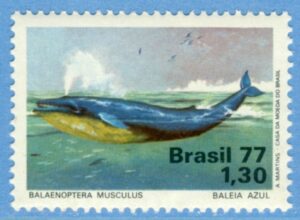 BRASILIEN 1977 M1597** blåval 1 kpl