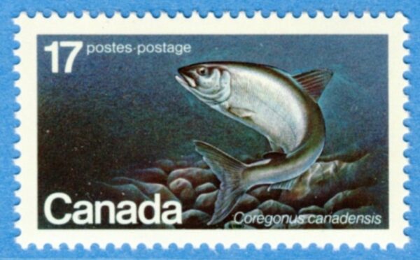 CANADA 1980 M764** fisk, enda i serien