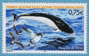 FRANSKA ANTARKTIS TAAF 2004 M540** sydlig rätvalsdelfin – havslöpare 1 kpl