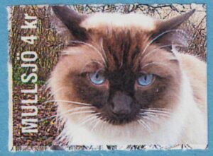 Lokalpost MULLSJÖ Nr 53 2008 ragdollkatt