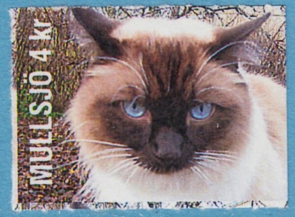 Lokalpost MULLSJÖ Nr 53 2008 ragdollkatt