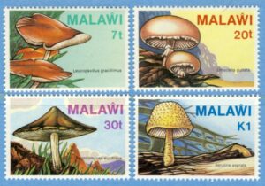 MALAWI 1985 M441-4** svampar 4 kpl