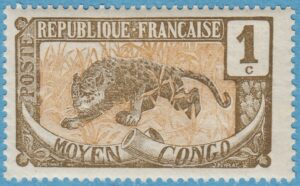 MELLANKONGO 1907 M1** leopard .