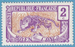 MELLANKONGO 1907 M2** leopard .