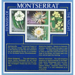 MONTSERRAT 1977 M366-9** (Block 12) blommor 4 kpl