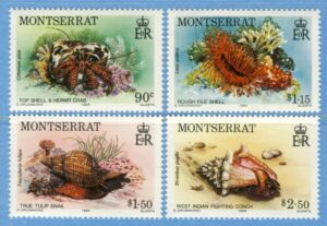 MONTSERRAT 1984 M557-60**havsdjur 4 kpl