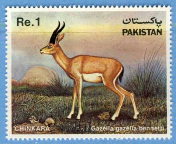 PAKISTAN 1983 M588** gasell 1 kpl