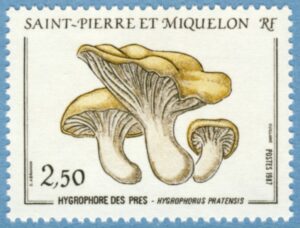 SAINT-PIERRE ET MIQUELON 1987 M543** svampar 1 kpl
