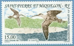 SAINT-PIERRE ET MIQUELON 1996 M711** småspov 1 kpl