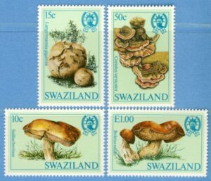 SWAZILAND 1984 M462-5** svampar 4 kpl