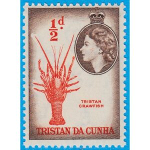 TRISTAN DA CUNHA 1954 M14** ur bruksserie