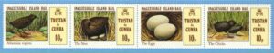 TRISTAN DA CUNHA 1981 M311-4** fåglar 4 kpl ordningsföljden varierar