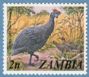 ZAMBIA 1975 M142** sydafrikansk pärlhöna En av tre fågelfrimärken ur brukssserie