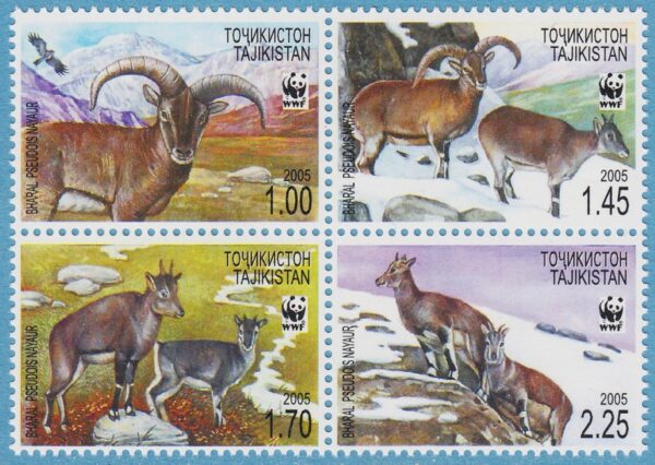 TADZJIKISTAN 2005 M392-5A** blåfår WWF 4 kpl