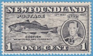 NEWFOUNDLAND 1937 M221** torsk ur bruksserie
